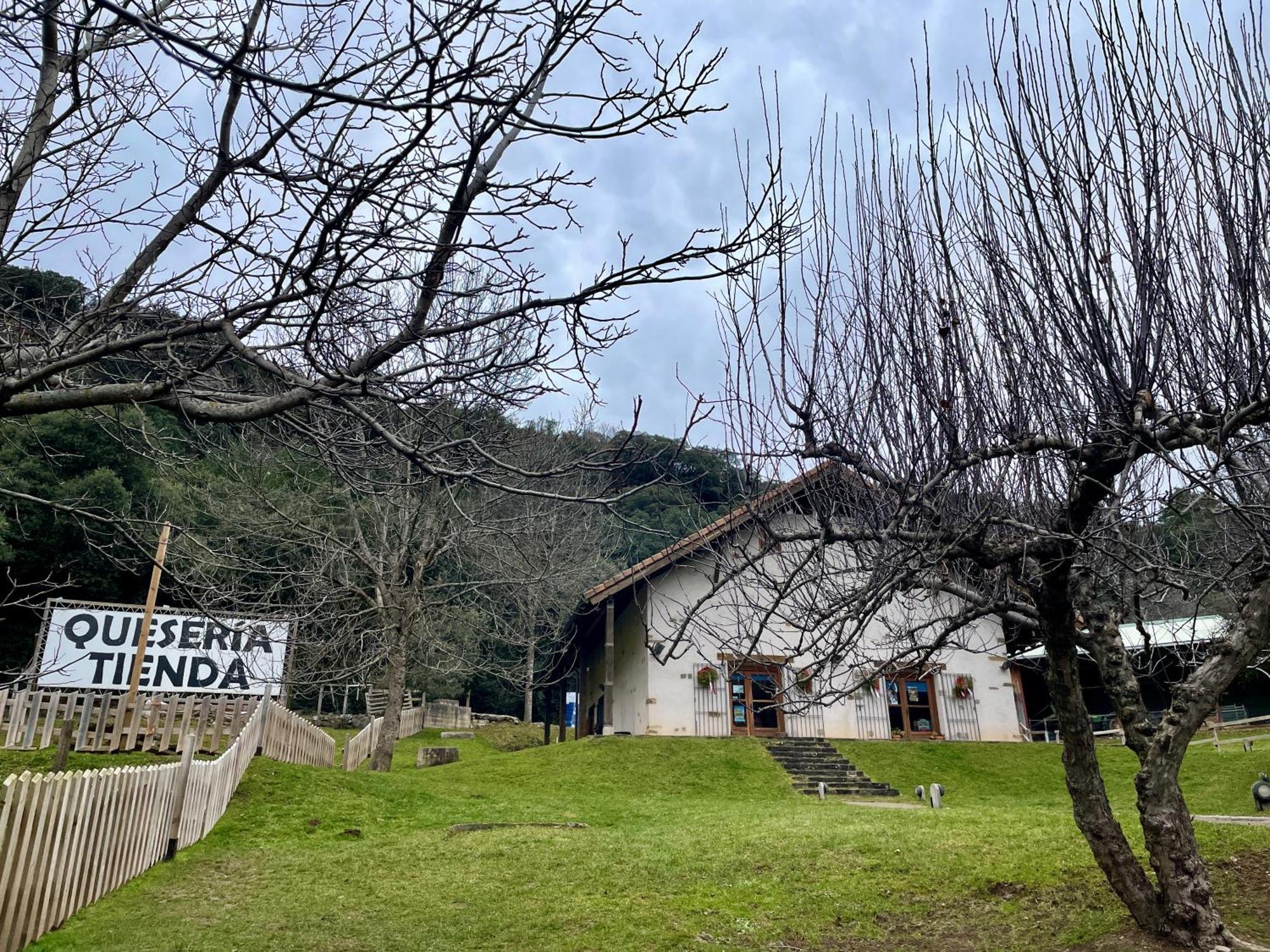 Calmfranc Atico Abuhardillado Con Vistas Al Rio Y La Montana Avistamiento De Ciervos En Canfranc Pueblo Экстерьер фото