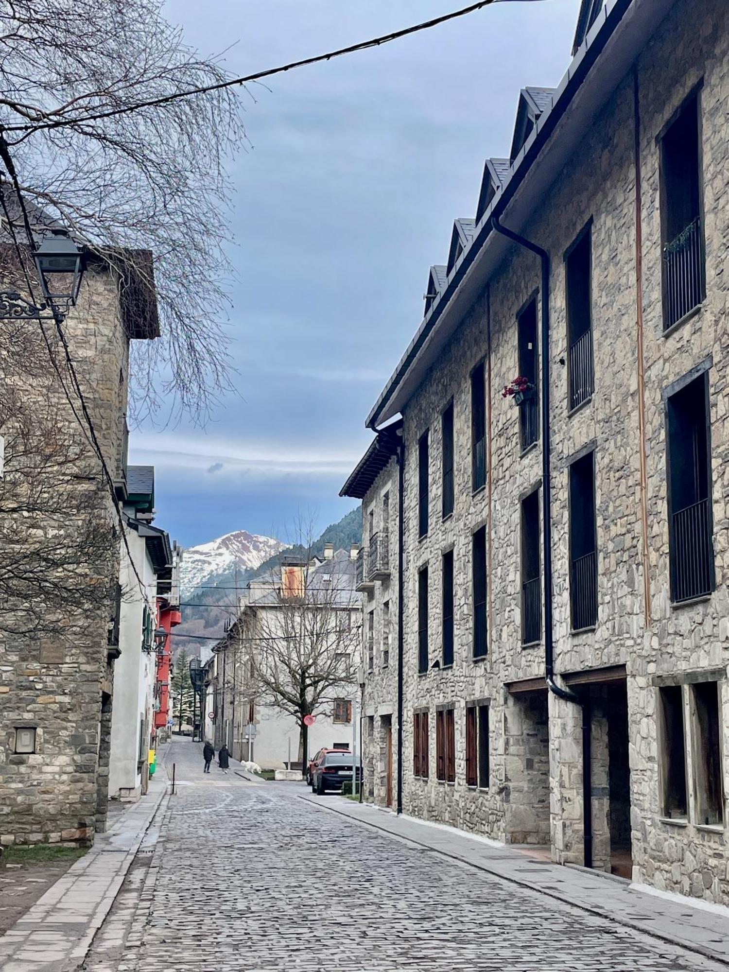 Calmfranc Atico Abuhardillado Con Vistas Al Rio Y La Montana Avistamiento De Ciervos En Canfranc Pueblo Экстерьер фото